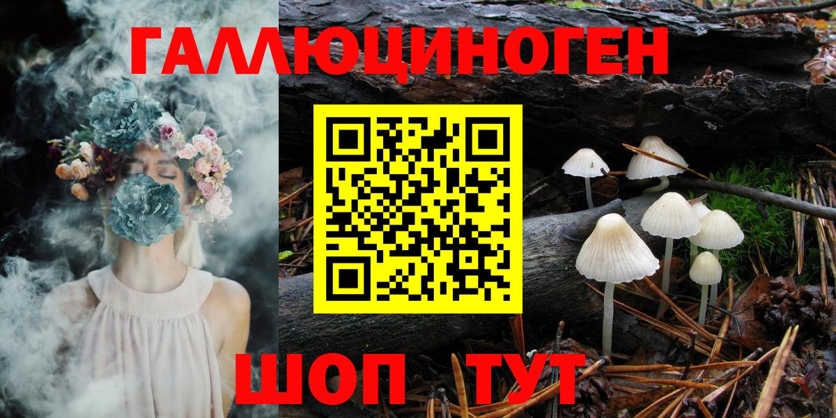 Галлюциногенные грибы Cubensis Балашов