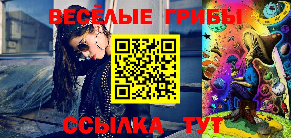 Галлюциногенные грибы мицелий  наркошоп  Балашов  Вход с VPN  Галлюциногенные грибы Cubensis 